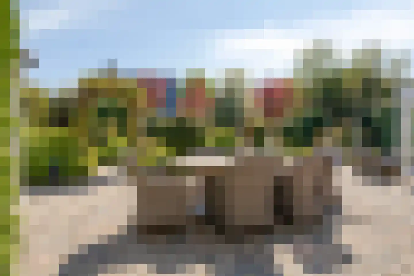 Blauwe Reiger 3 Oostkapelle thumbnail 56