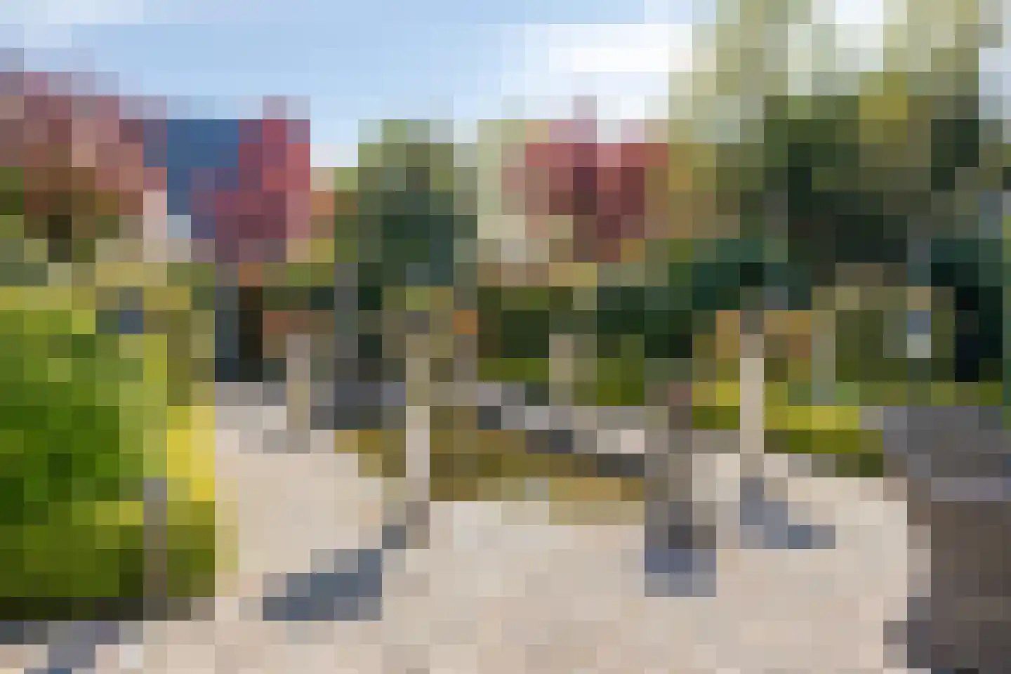 Blauwe Reiger 3 Oostkapelle thumbnail 57