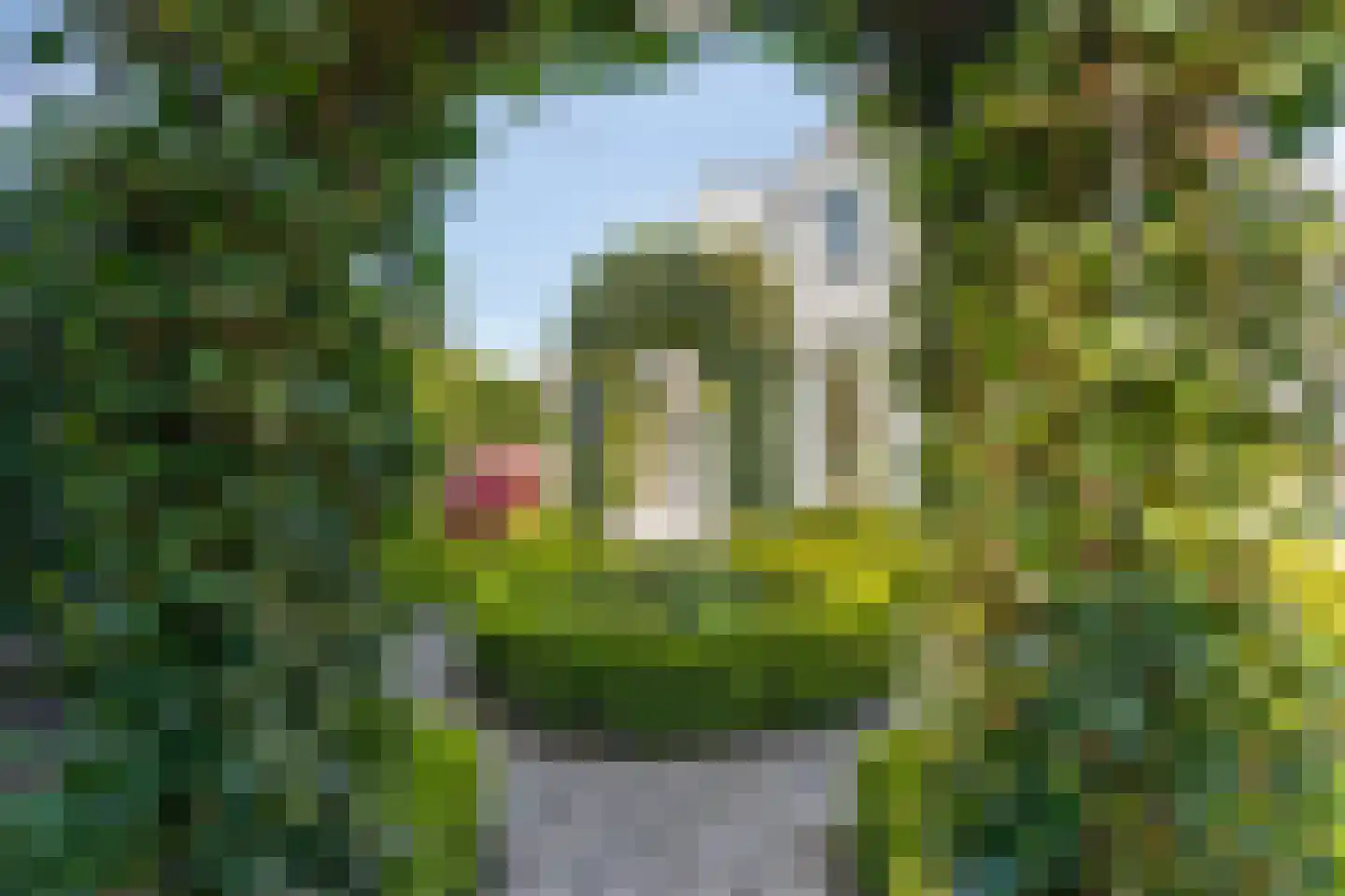 Blauwe Reiger 3 Oostkapelle thumbnail 61