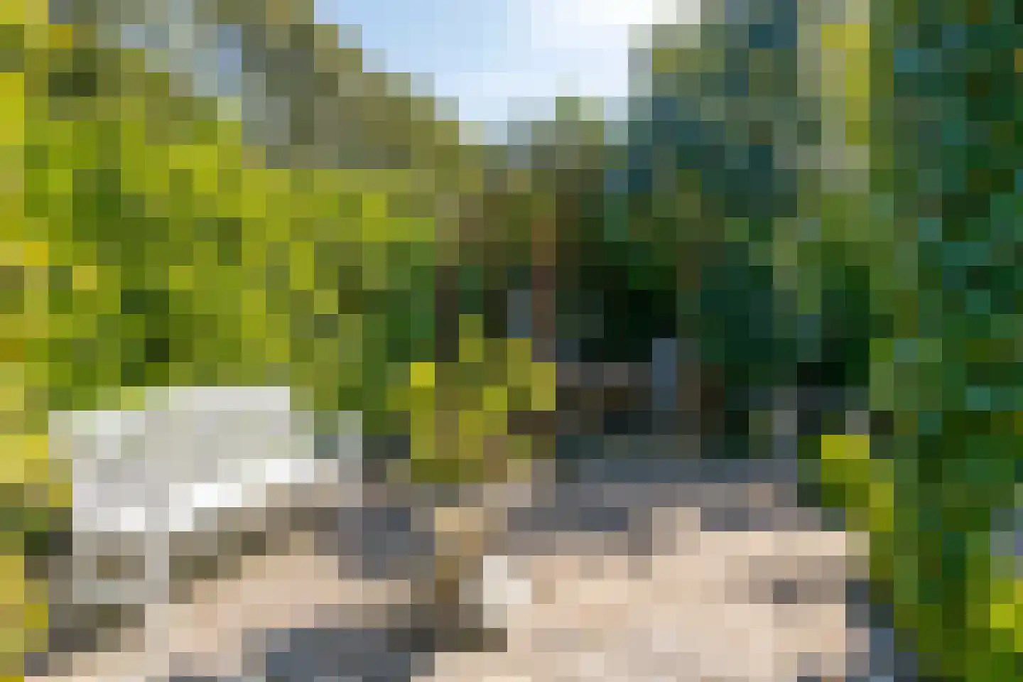 Blauwe Reiger 3 Oostkapelle thumbnail 63