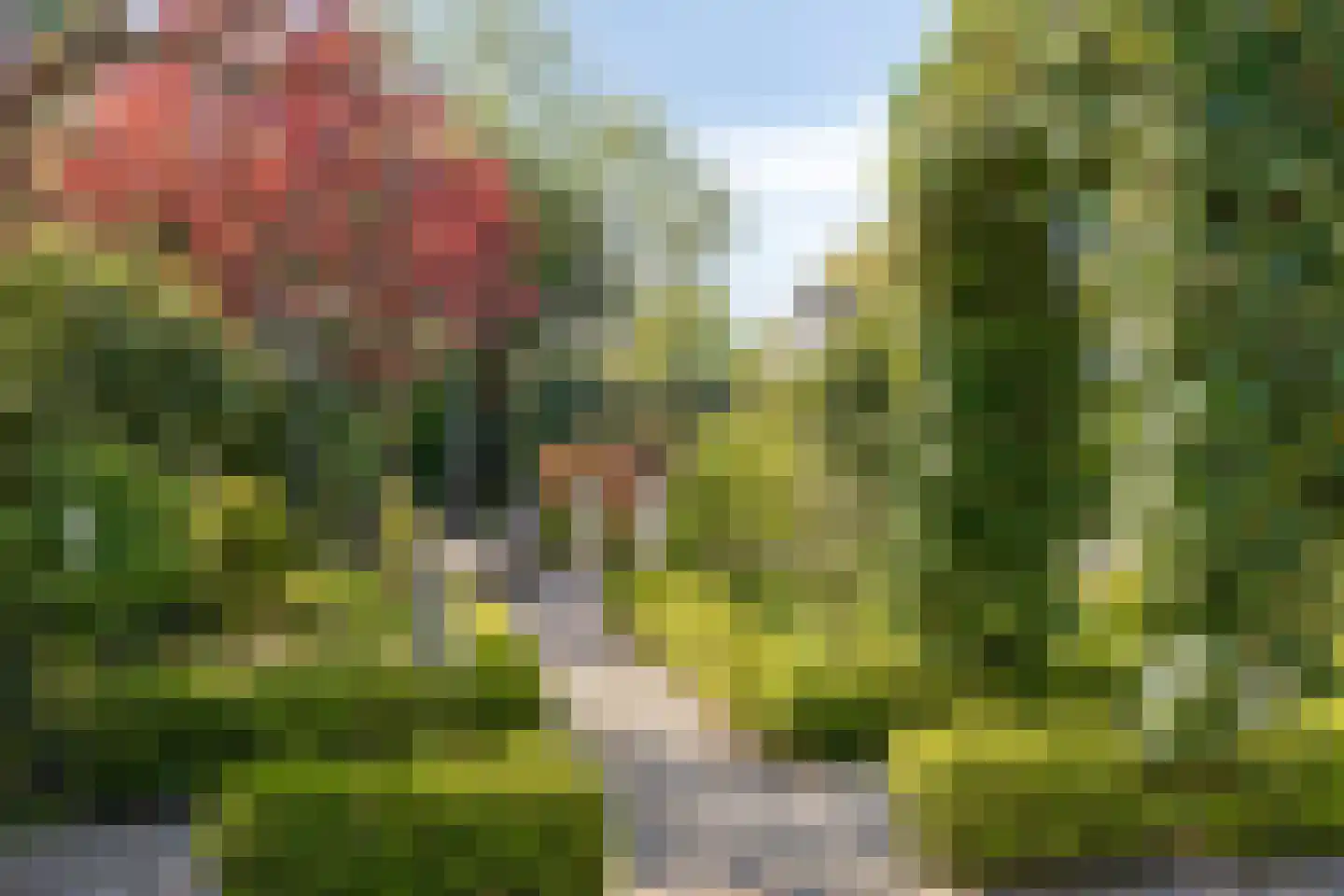 Blauwe Reiger 3 Oostkapelle thumbnail 64