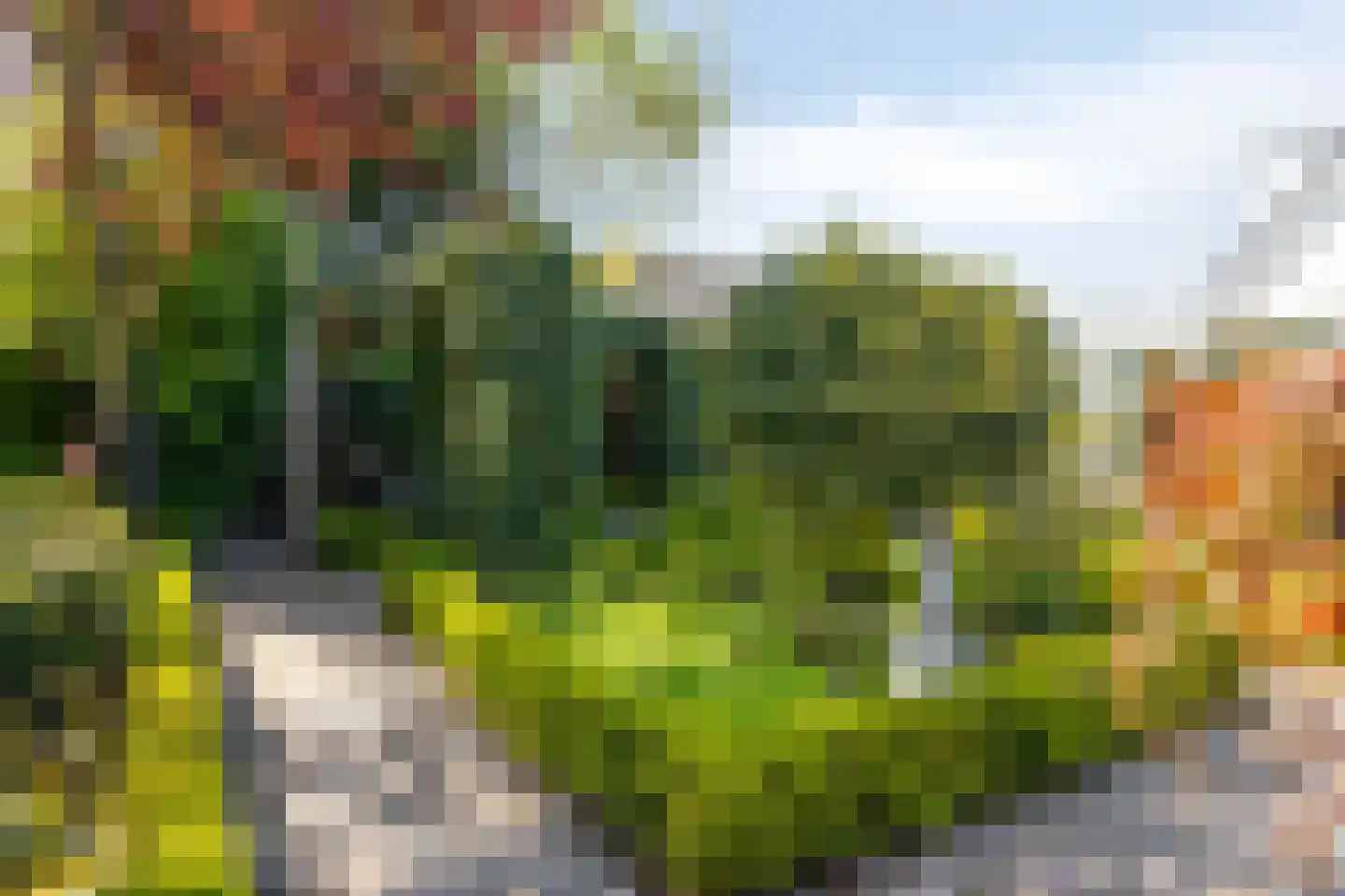 Blauwe Reiger 3 Oostkapelle thumbnail 65