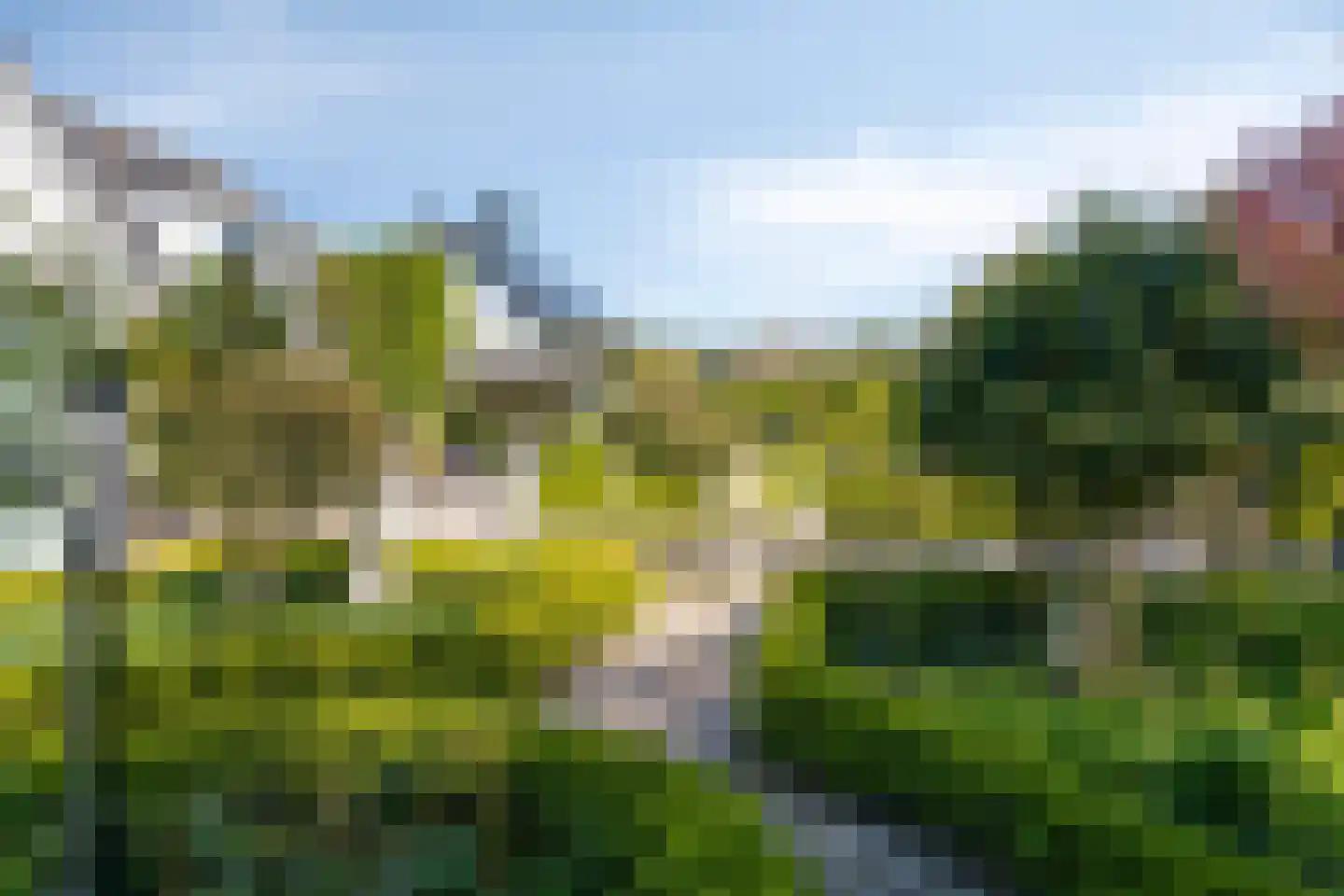 Blauwe Reiger 3 Oostkapelle thumbnail 66