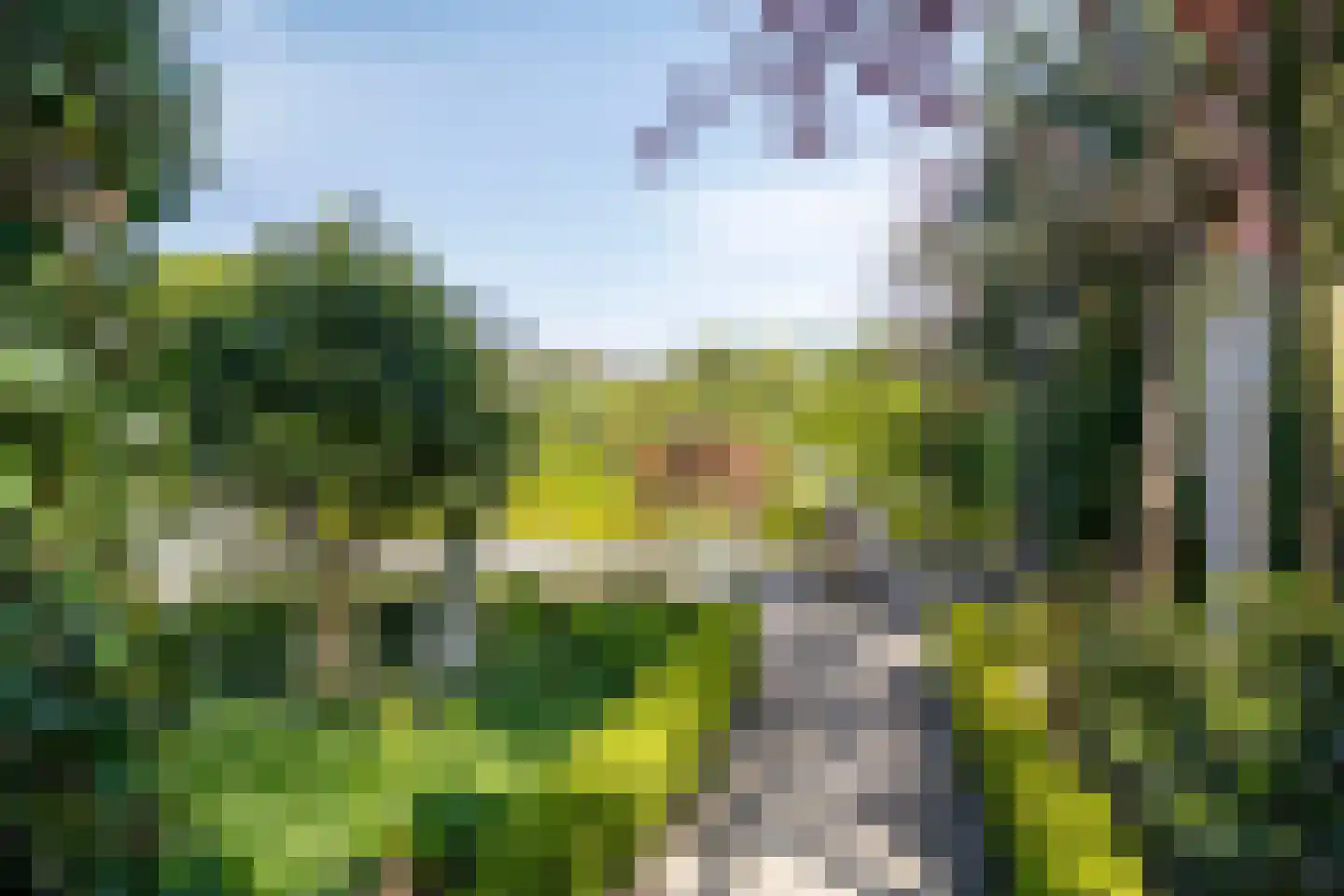 Blauwe Reiger 3 Oostkapelle thumbnail 67