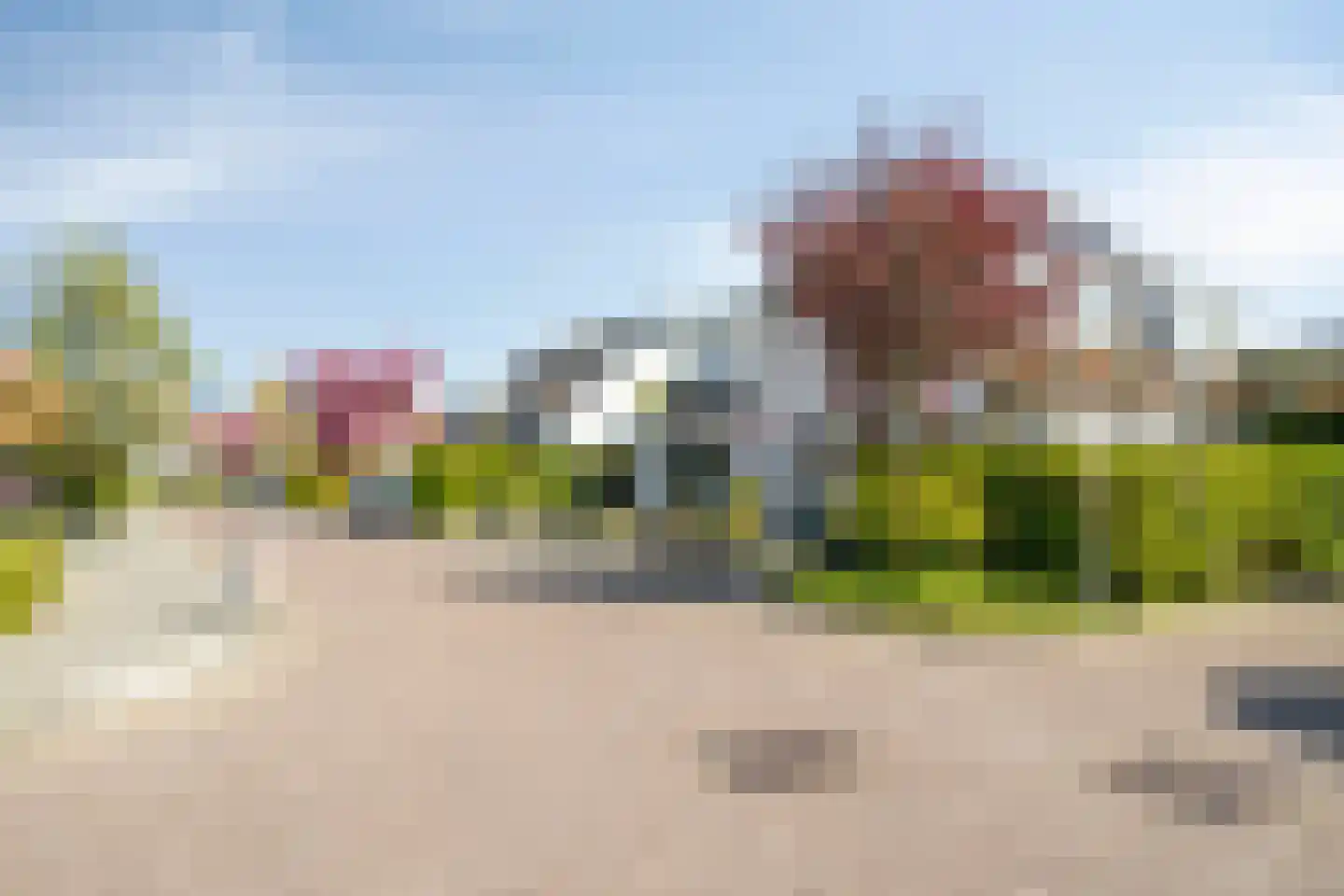 Blauwe Reiger 3 Oostkapelle thumbnail 68