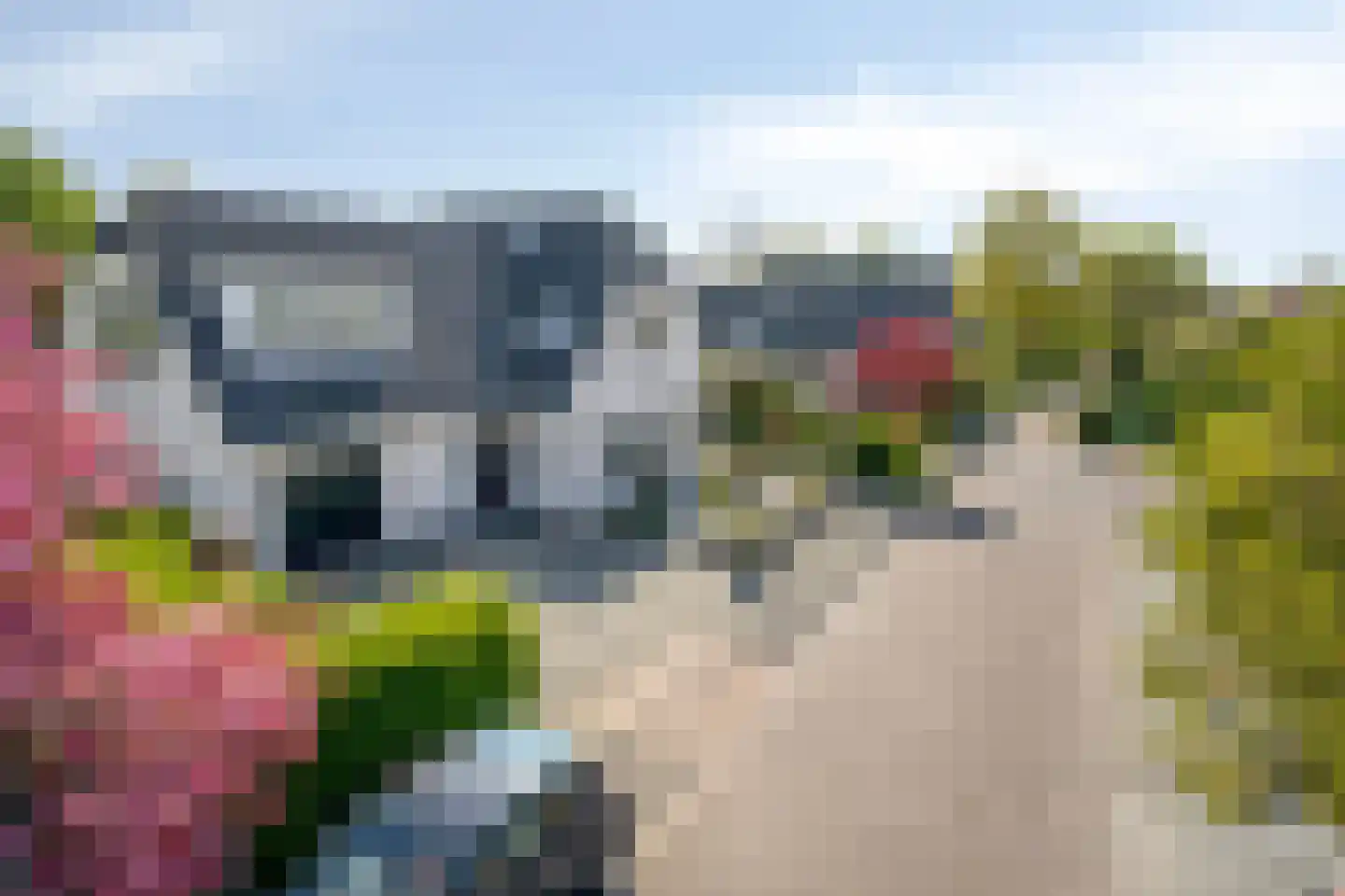 Blauwe Reiger 3 Oostkapelle thumbnail 72