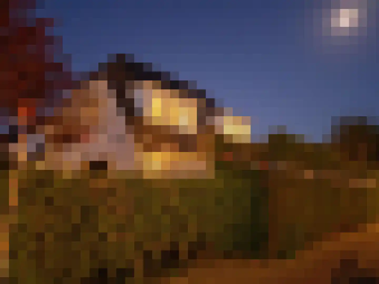 Blauwe Reiger 3 Oostkapelle thumbnail 75