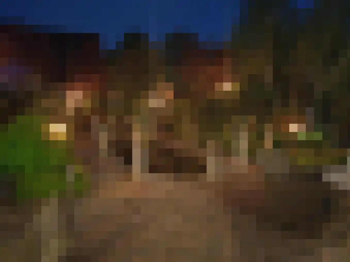Blauwe Reiger 3 Oostkapelle thumbnail 77