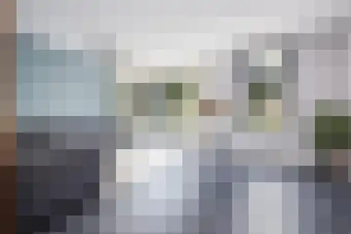 Blauwe Reiger 37 Hoogkarspel thumbnail 10
