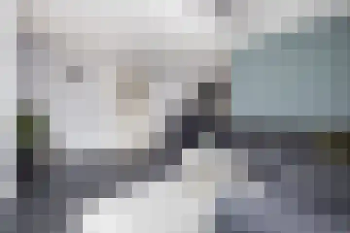 Blauwe Reiger 37 Hoogkarspel thumbnail 12