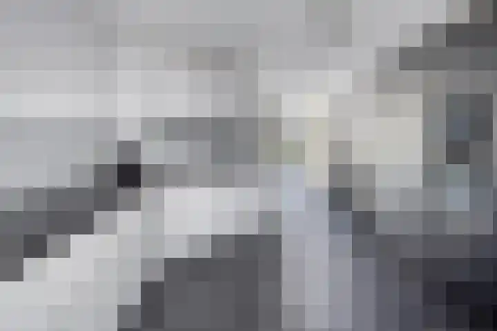 Blauwe Reiger 37 Hoogkarspel thumbnail 17