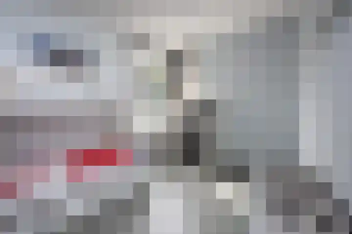 Blauwe Reiger 37 Hoogkarspel thumbnail 19