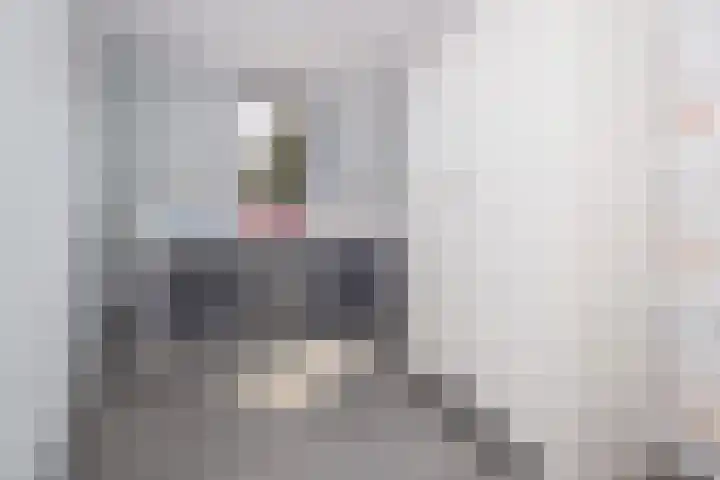Blauwe Reiger 37 Hoogkarspel thumbnail 20