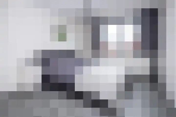 Blauwe Reiger 37 Hoogkarspel thumbnail 22