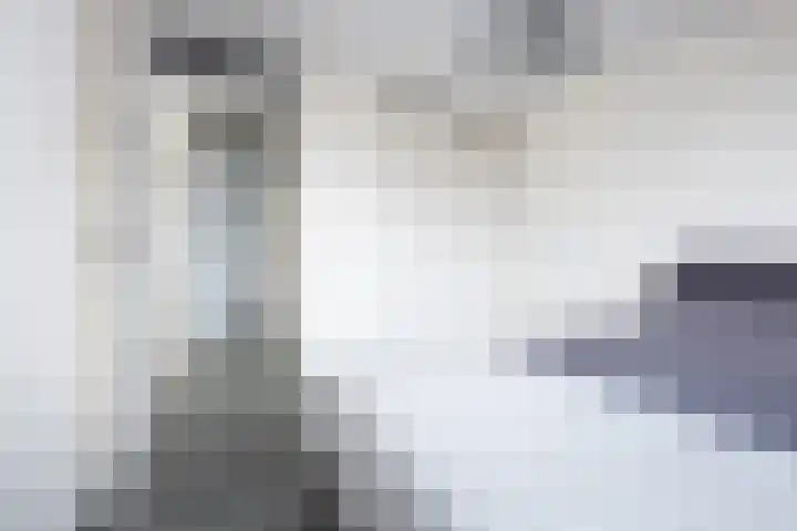 Blauwe Reiger 37 Hoogkarspel thumbnail 23