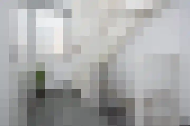 Blauwe Reiger 37 Hoogkarspel thumbnail 25