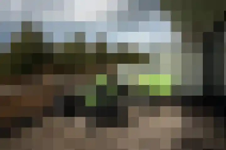 Blauwe Reiger 37 Hoogkarspel thumbnail 29