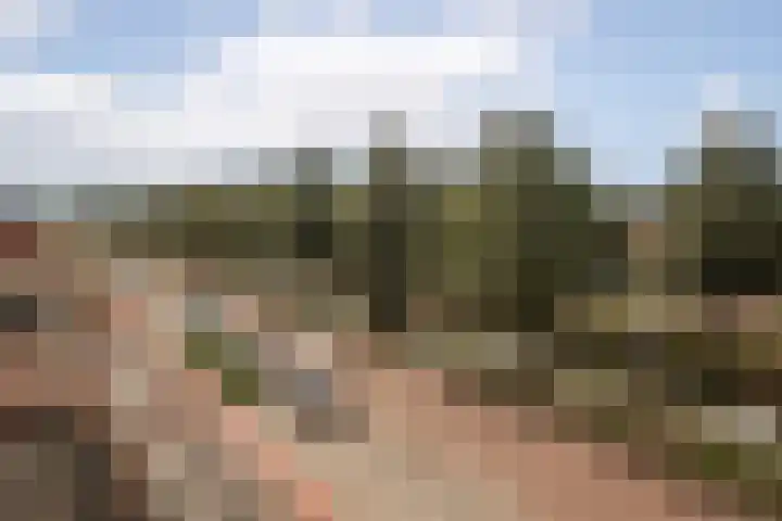 Blauwe Reiger 37 Hoogkarspel thumbnail 31
