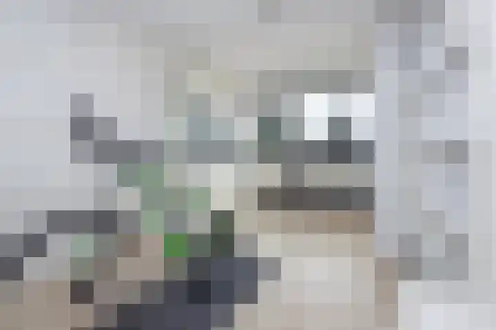 Blauwe Reiger 37 Hoogkarspel thumbnail 32