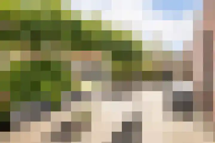 Blauwe Reiger 37 Hoogkarspel thumbnail 37