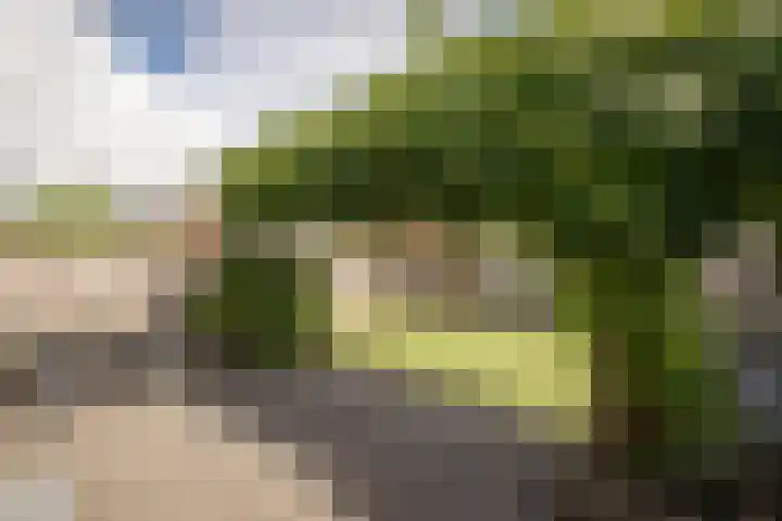 Blauwe Reiger 37 Hoogkarspel thumbnail 38