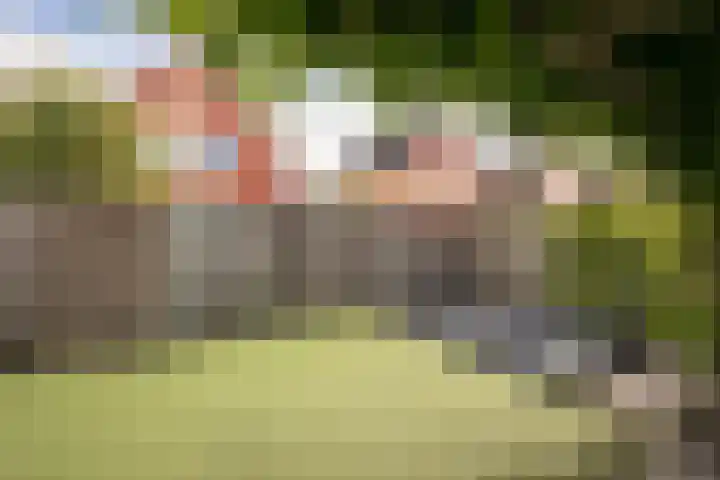 Blauwe Reiger 37 Hoogkarspel thumbnail 39