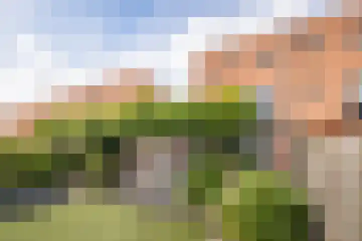 Blauwe Reiger 37 Hoogkarspel thumbnail 40