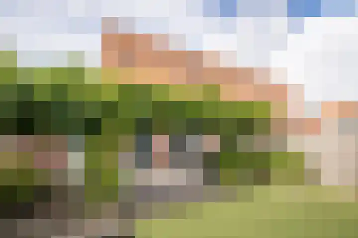 Blauwe Reiger 37 Hoogkarspel thumbnail 41