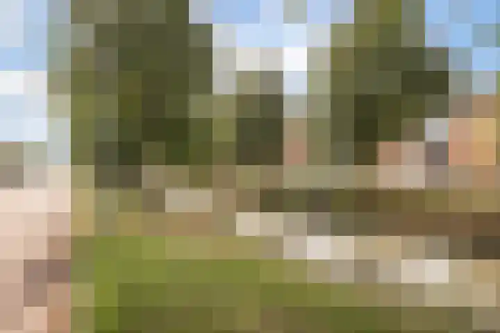 Blauwe Reiger 37 Hoogkarspel thumbnail 43