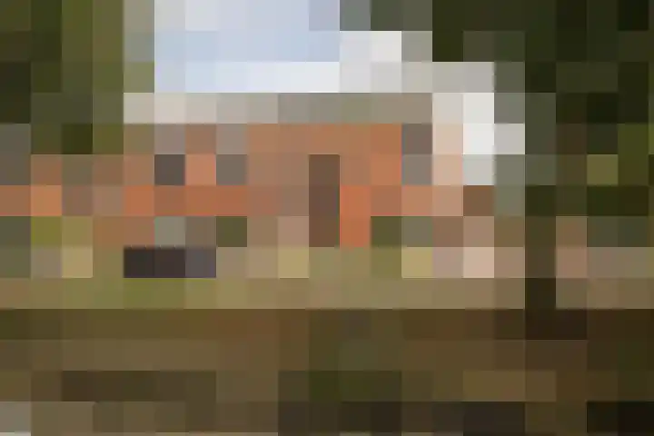 Blauwe Reiger 37 Hoogkarspel thumbnail 44