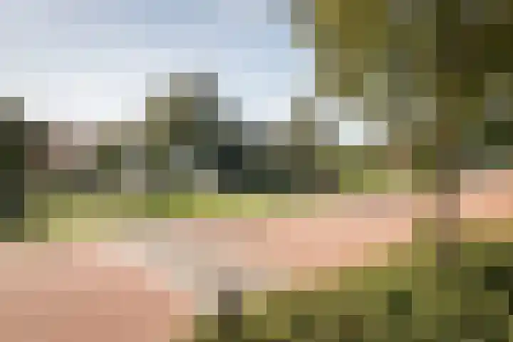 Blauwe Reiger 37 Hoogkarspel thumbnail 49