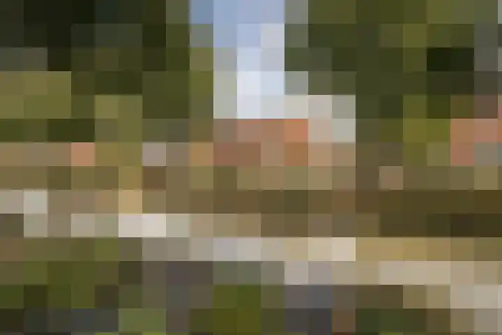 Blauwe Reiger 37 Hoogkarspel thumbnail 5