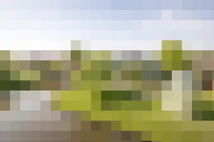 Blauwe Reiger 37 Hoogkarspel thumbnail 50