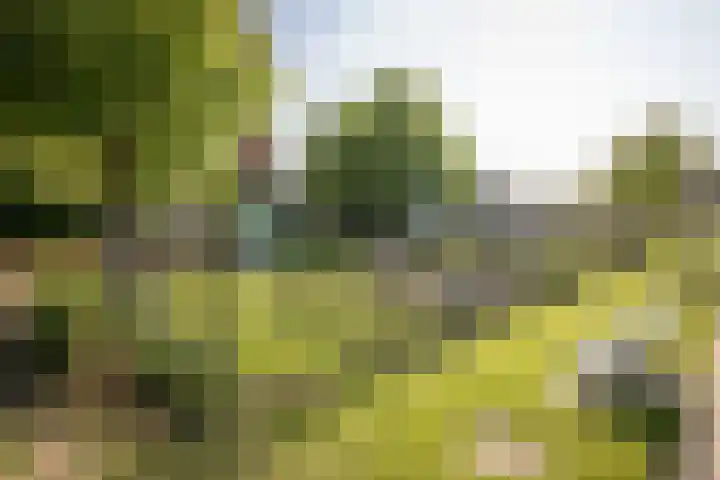 Blauwe Reiger 37 Hoogkarspel thumbnail 51