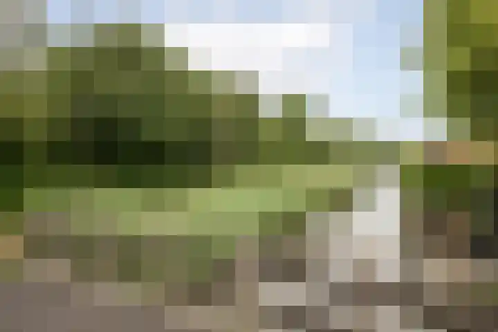 Blauwe Reiger 37 Hoogkarspel thumbnail 57
