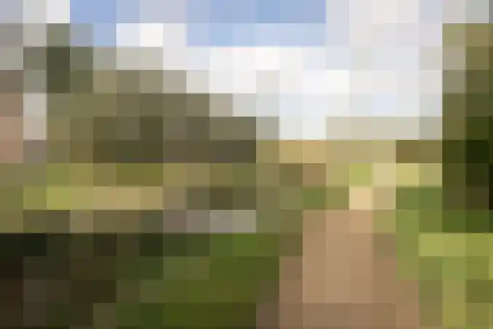 Blauwe Reiger 37 Hoogkarspel thumbnail 58