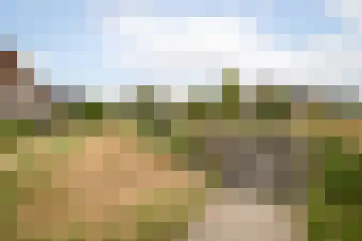 Blauwe Reiger 37 Hoogkarspel thumbnail 59