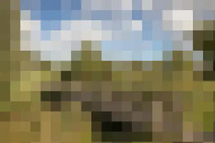 Blauwe Reiger 37 Hoogkarspel thumbnail 60