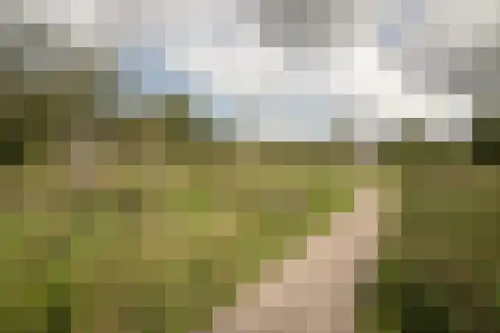 Blauwe Reiger 37 Hoogkarspel thumbnail 61