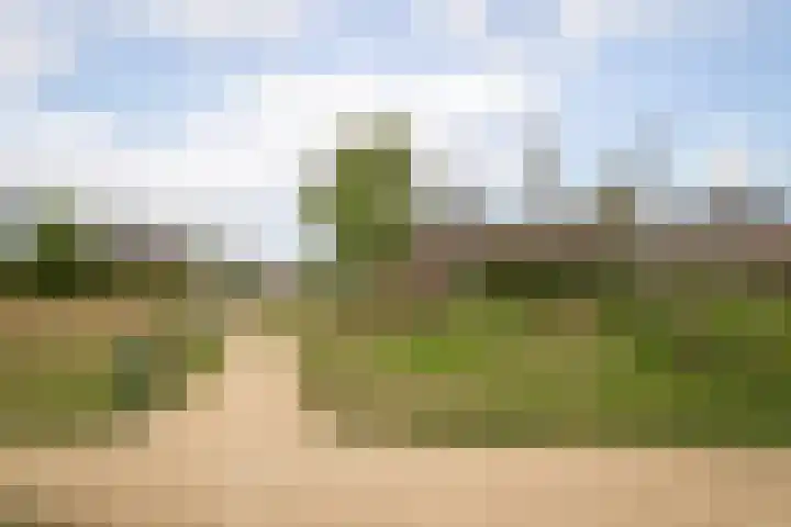 Blauwe Reiger 37 Hoogkarspel thumbnail 62
