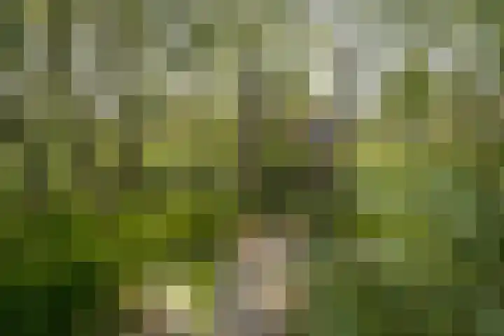 Blauwe Reiger 37 Hoogkarspel thumbnail 64
