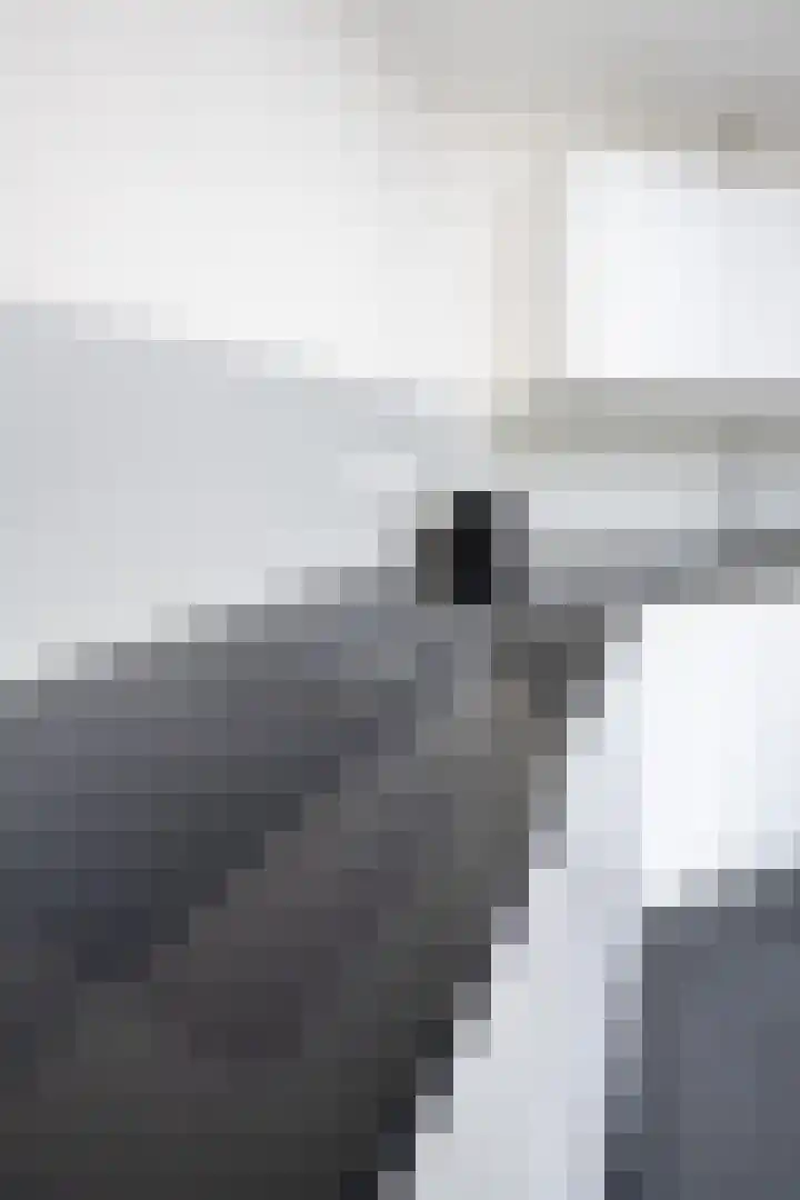 Blauwe Reiger 37 Hoogkarspel thumbnail 68