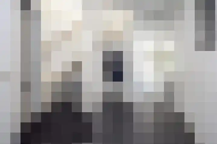 Blauwe Reiger 37 Hoogkarspel thumbnail 8