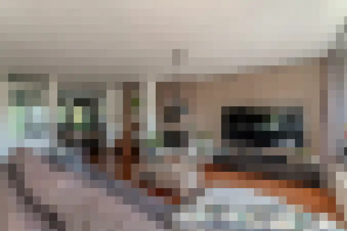 Blauwe Reiger 38 Lathum thumbnail 24