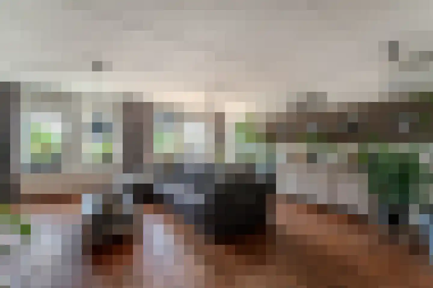 Blauwe Reiger 38 Lathum thumbnail 26