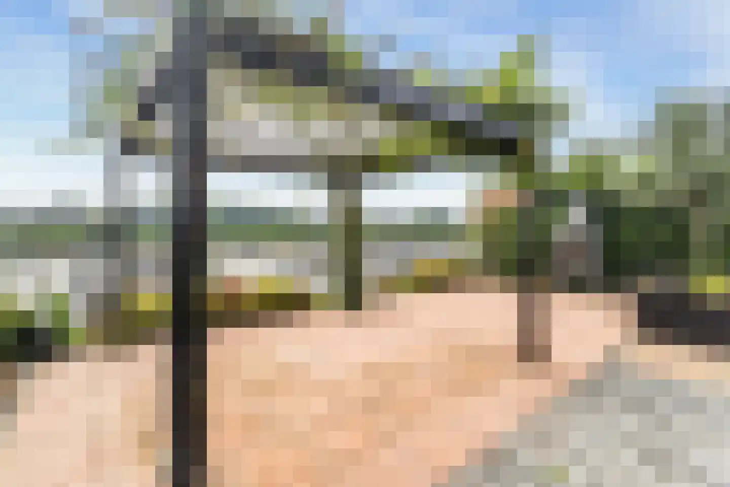 Blauwe Reiger 38 Lathum thumbnail 29