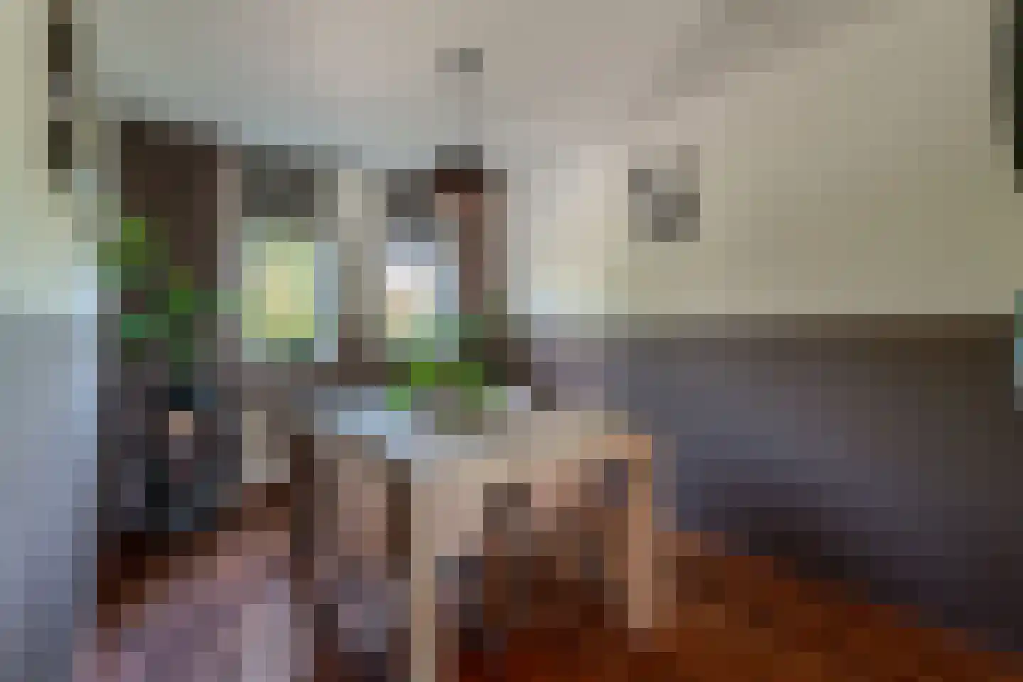 Blauwe Reiger 38 Lathum thumbnail 29