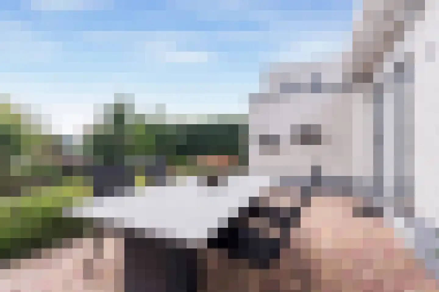 Blauwe Reiger 38 Lathum thumbnail 31