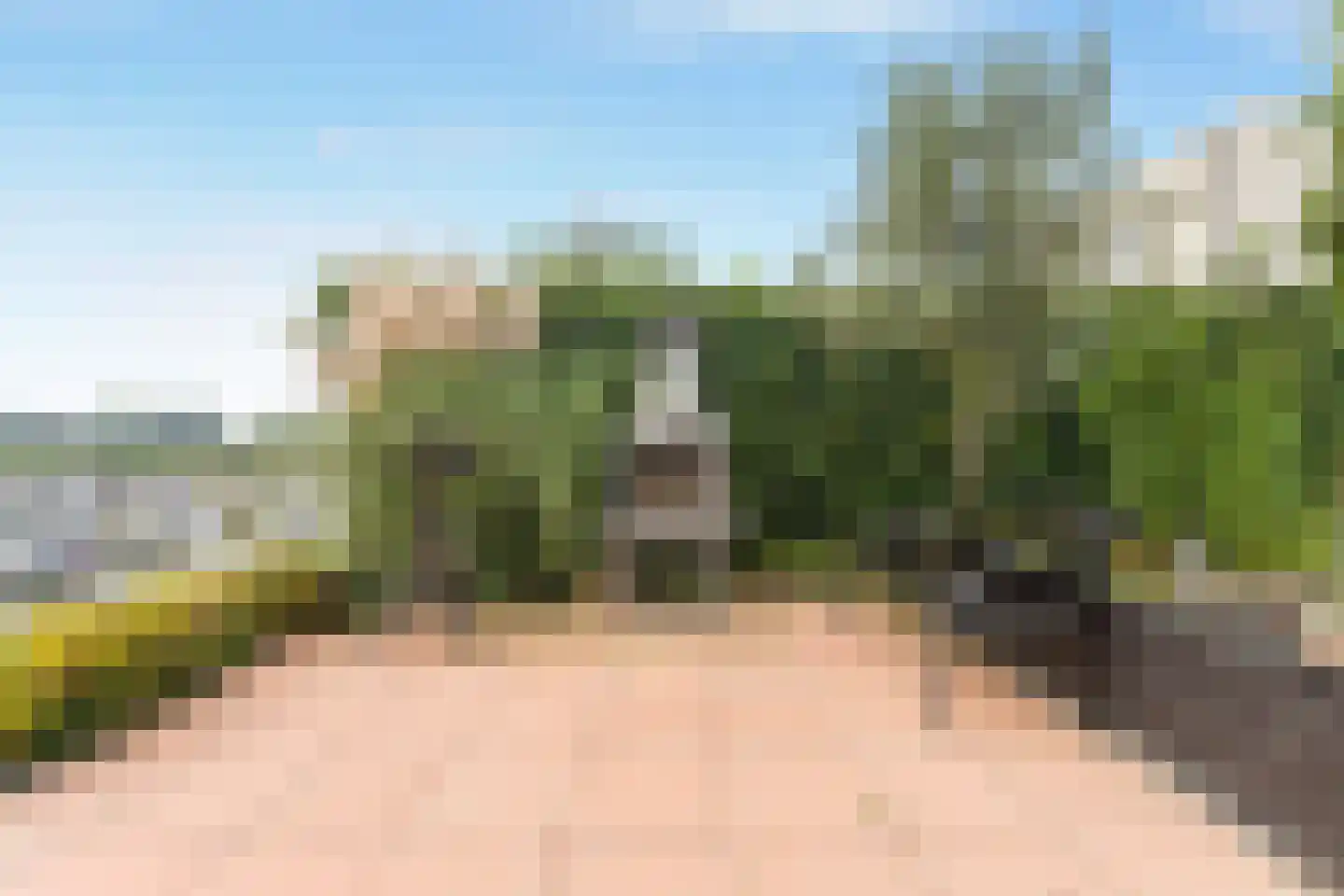 Blauwe Reiger 38 Lathum thumbnail 32