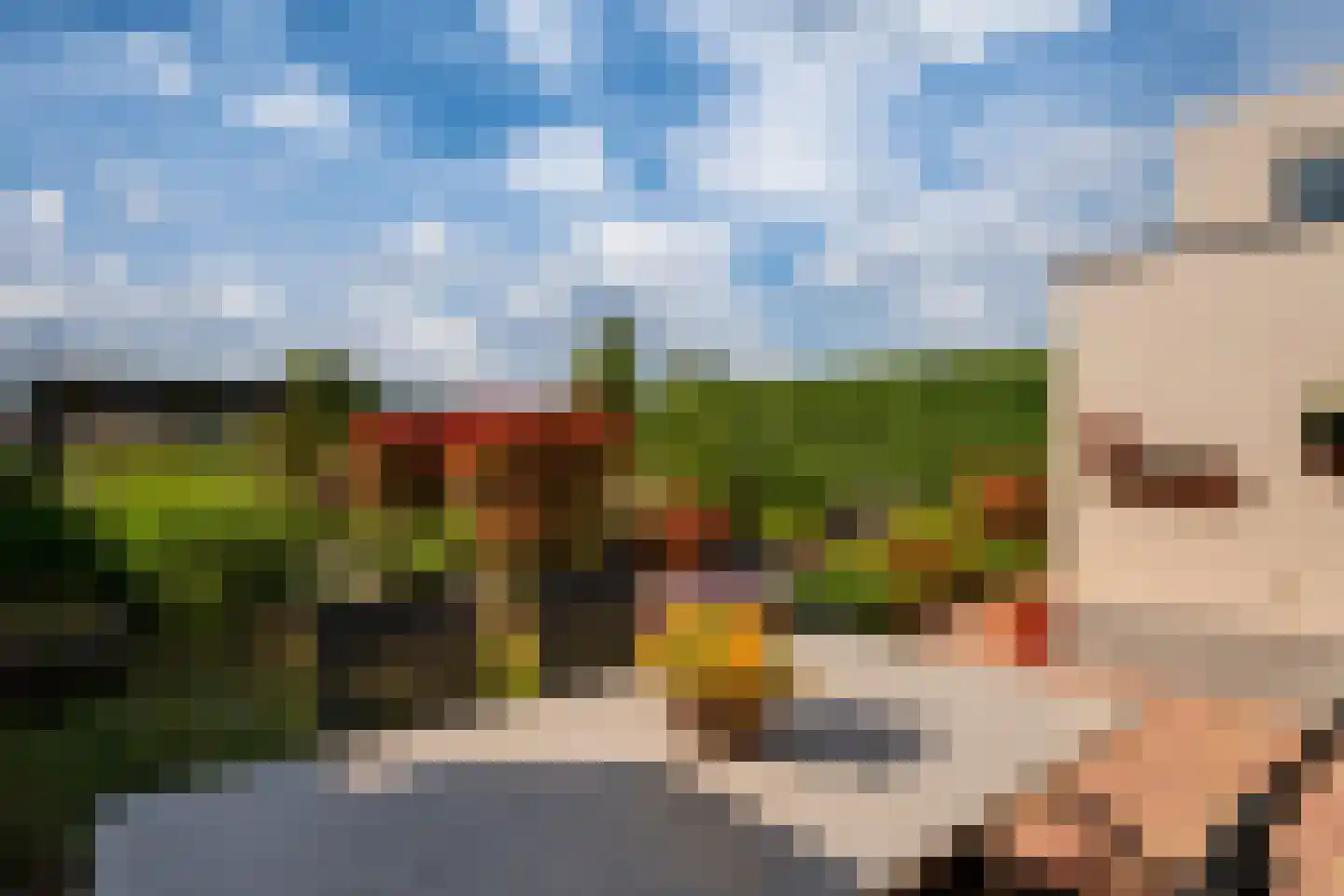 Blauwe Reiger 38 Lathum thumbnail 34